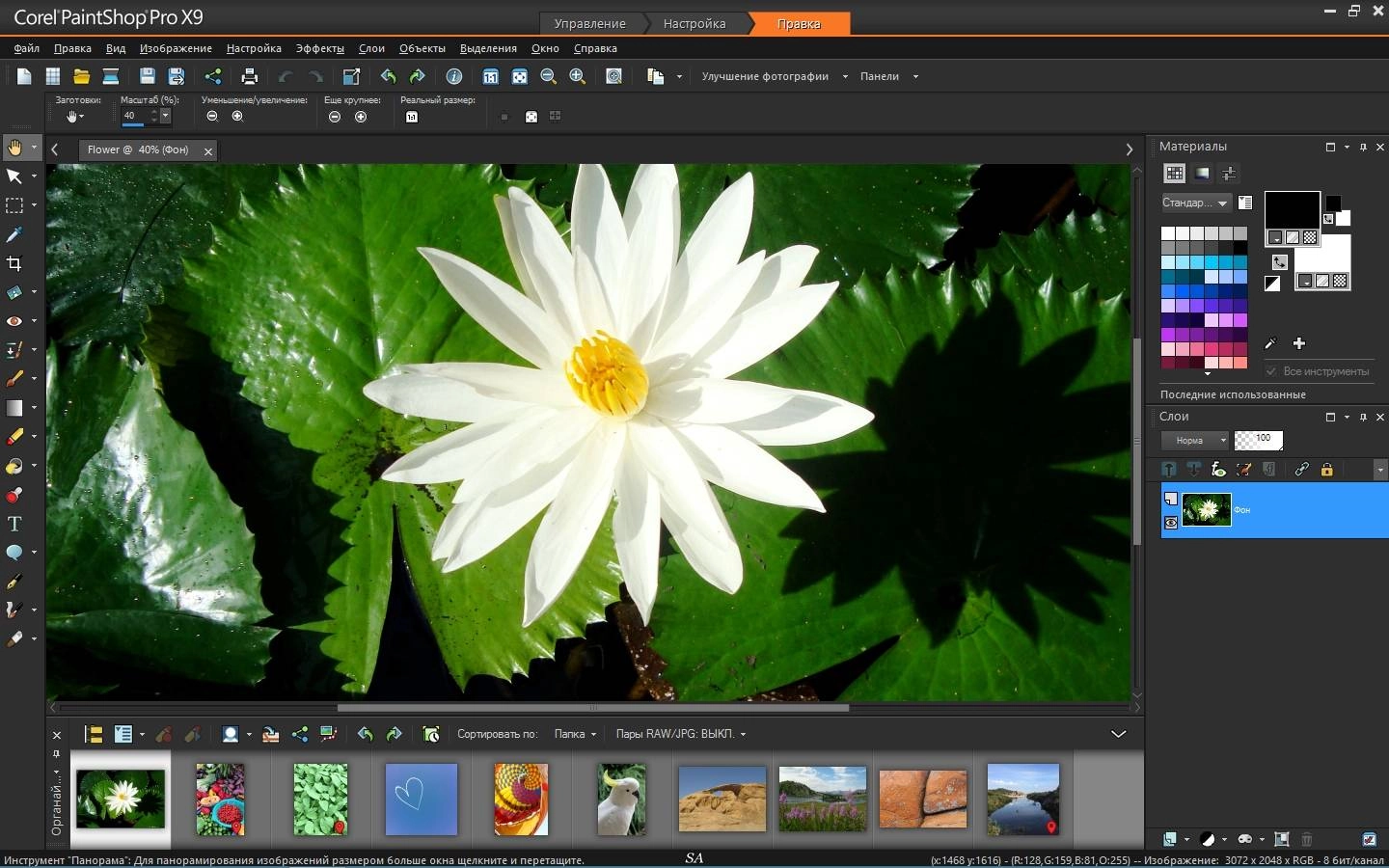 Активация Corel PaintShop Pro X9 Ultimate 19.1.0.29 + Content