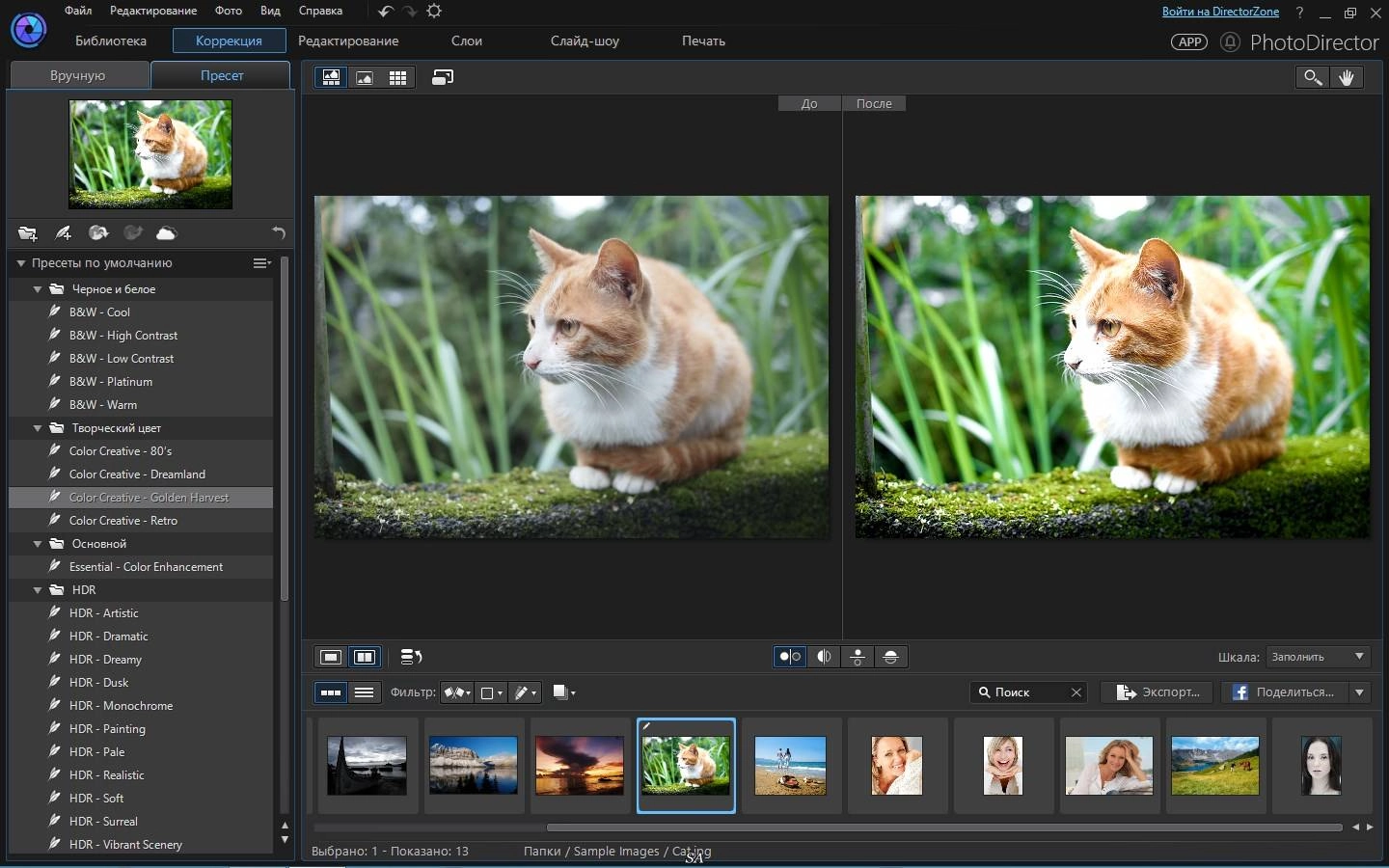 Активация CyberLink PhotoDirector 7 Ultra 7.0.7504.0 Retail