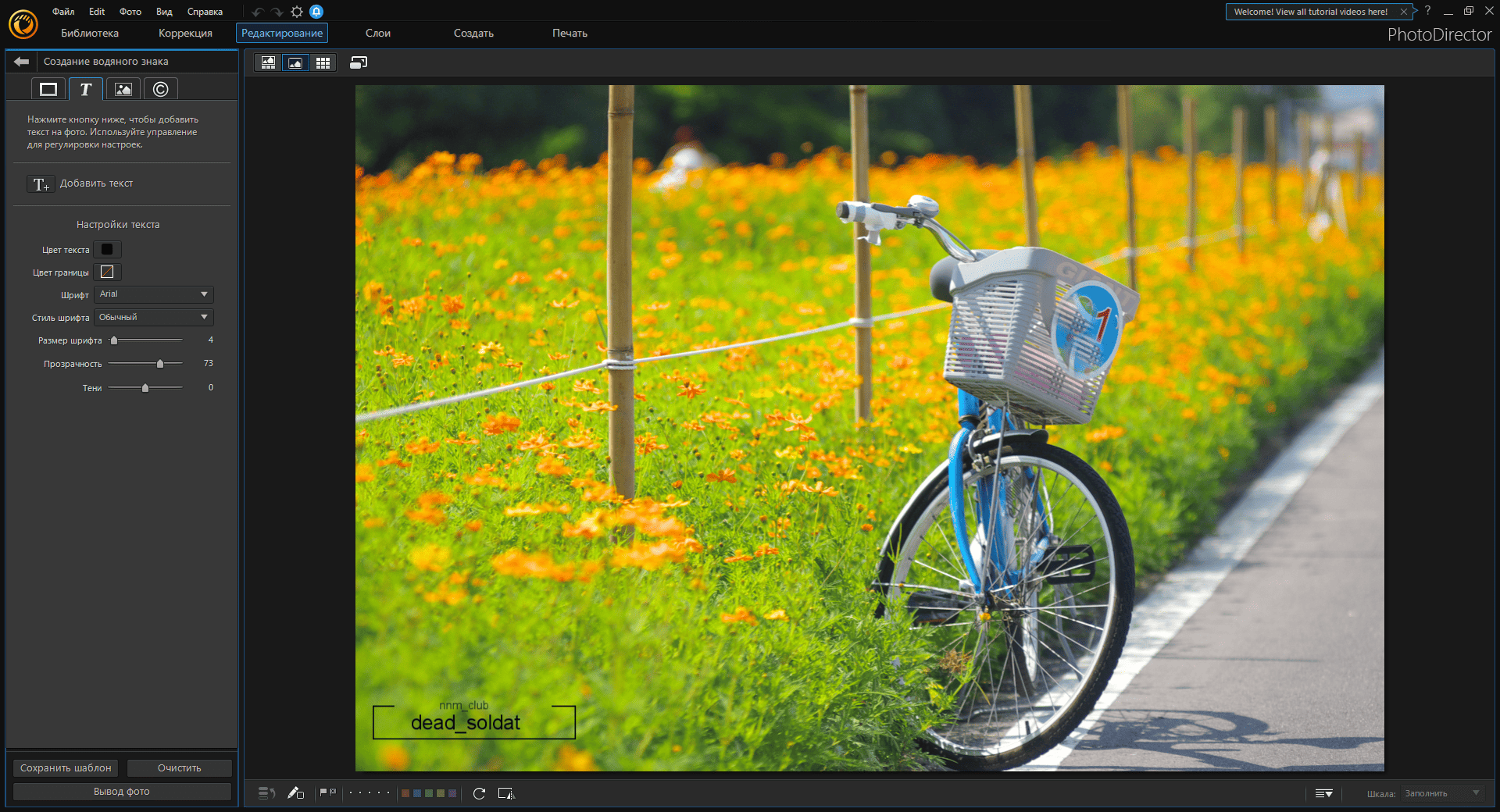 Активация CyberLink PhotoDirector Ultra 11.0.2516.0