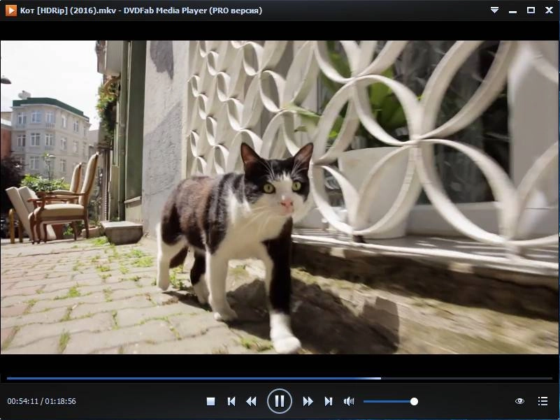 Активация DVDFab Media Player Pro 3.2.0.1 RePack by вовава