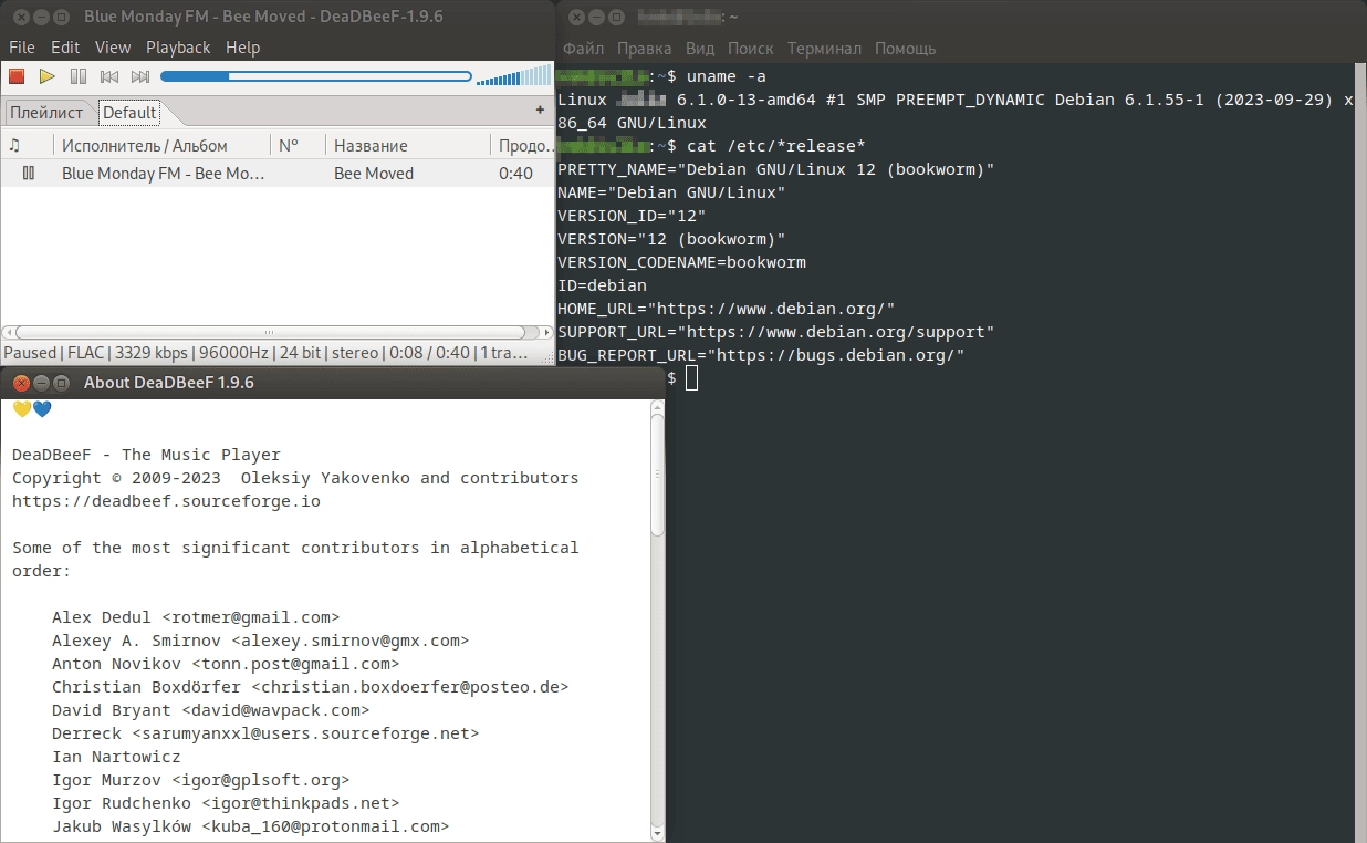 Активация DeaDBeeF for Linux 1.9.6