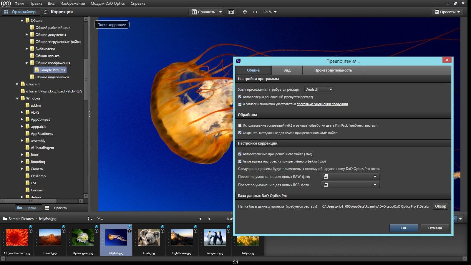 Активация DxO Optics Pro 9.5.2 Build 347 Elite RePack by KpoJIuK