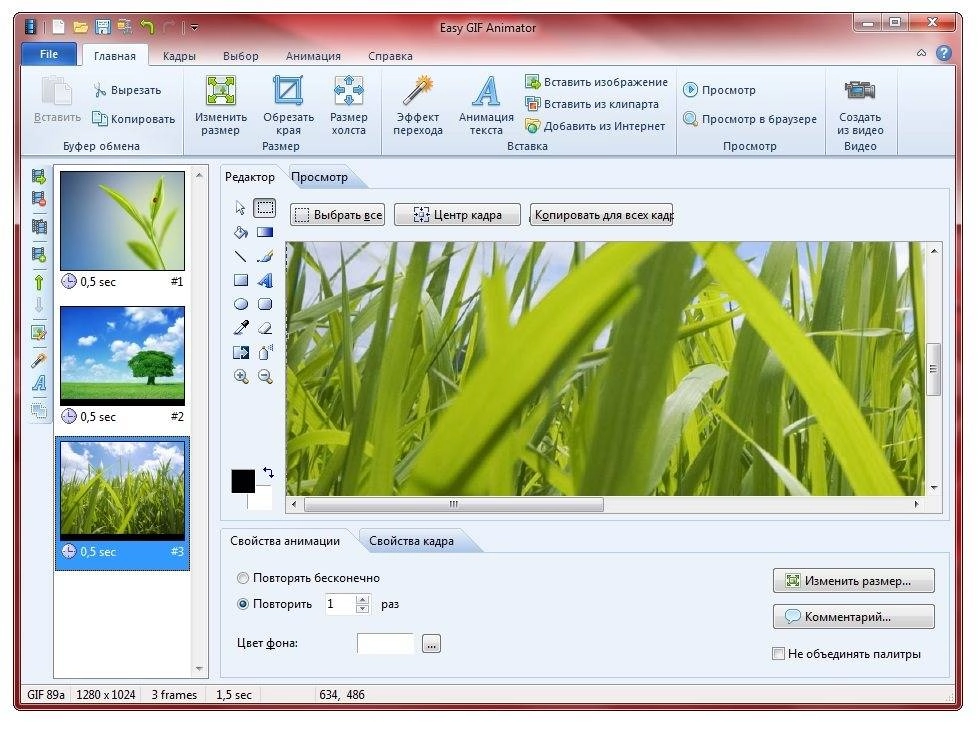 Активация Easy GIF Animator 6.1 RePack by Trovel