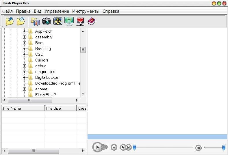Активация FLASH PLAYER PRO 5.96 REPACK BY DYNAMICS140685
