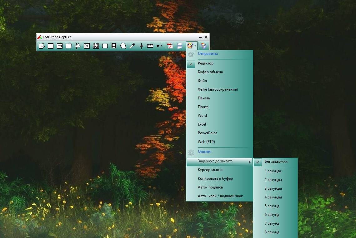 Активация FastStone Capture 8.3 Final + Portable