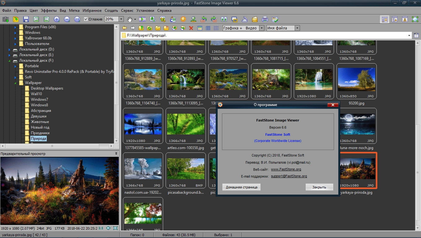 Активация FastStone Image Viewer 7.7 RePack by elchupacabra