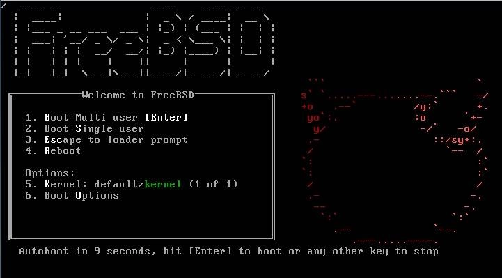 Активация FreeBSD 12.0 1xDVD