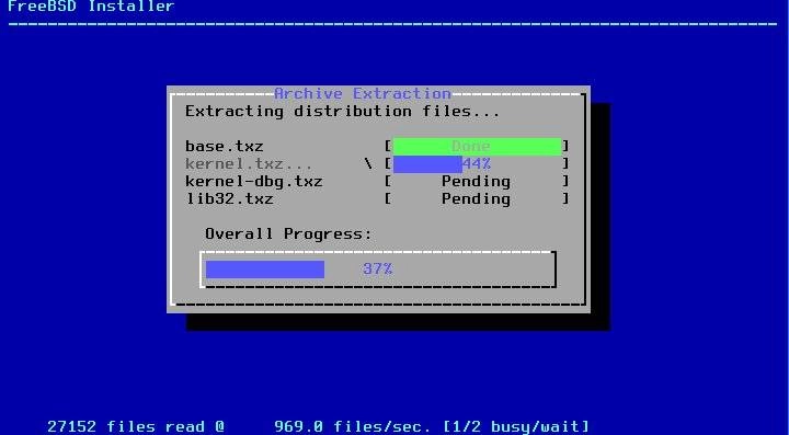 Активация FreeBSD 13.0 2xDVD