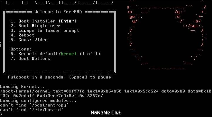 Активация FreeBSD 13.3 2xDVD