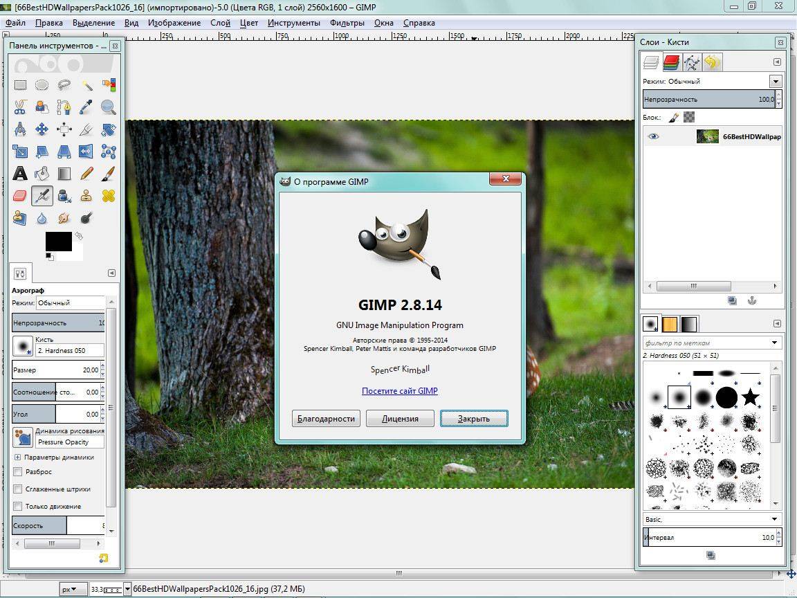 Активация GIMP 2.10.0 RC2