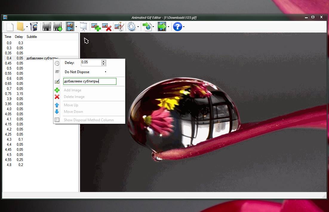 Активация Gif Recorder 3.1.0.0 + Portable