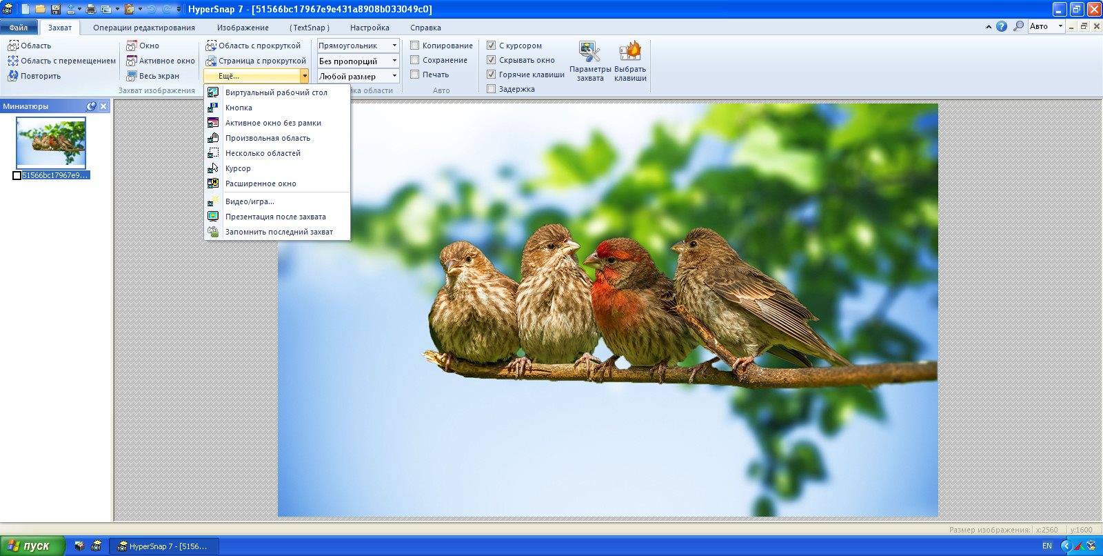 Активация HyperSnap 7.29.03 RePack by D!akov
