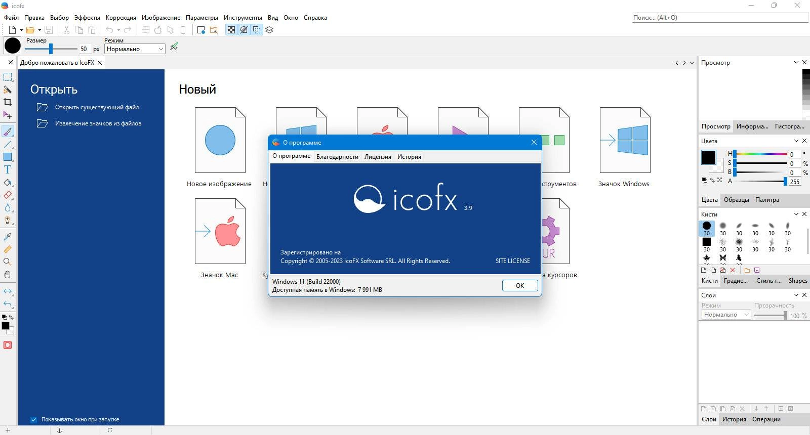 Активация IcoFX 3.9 Home, Business, Site