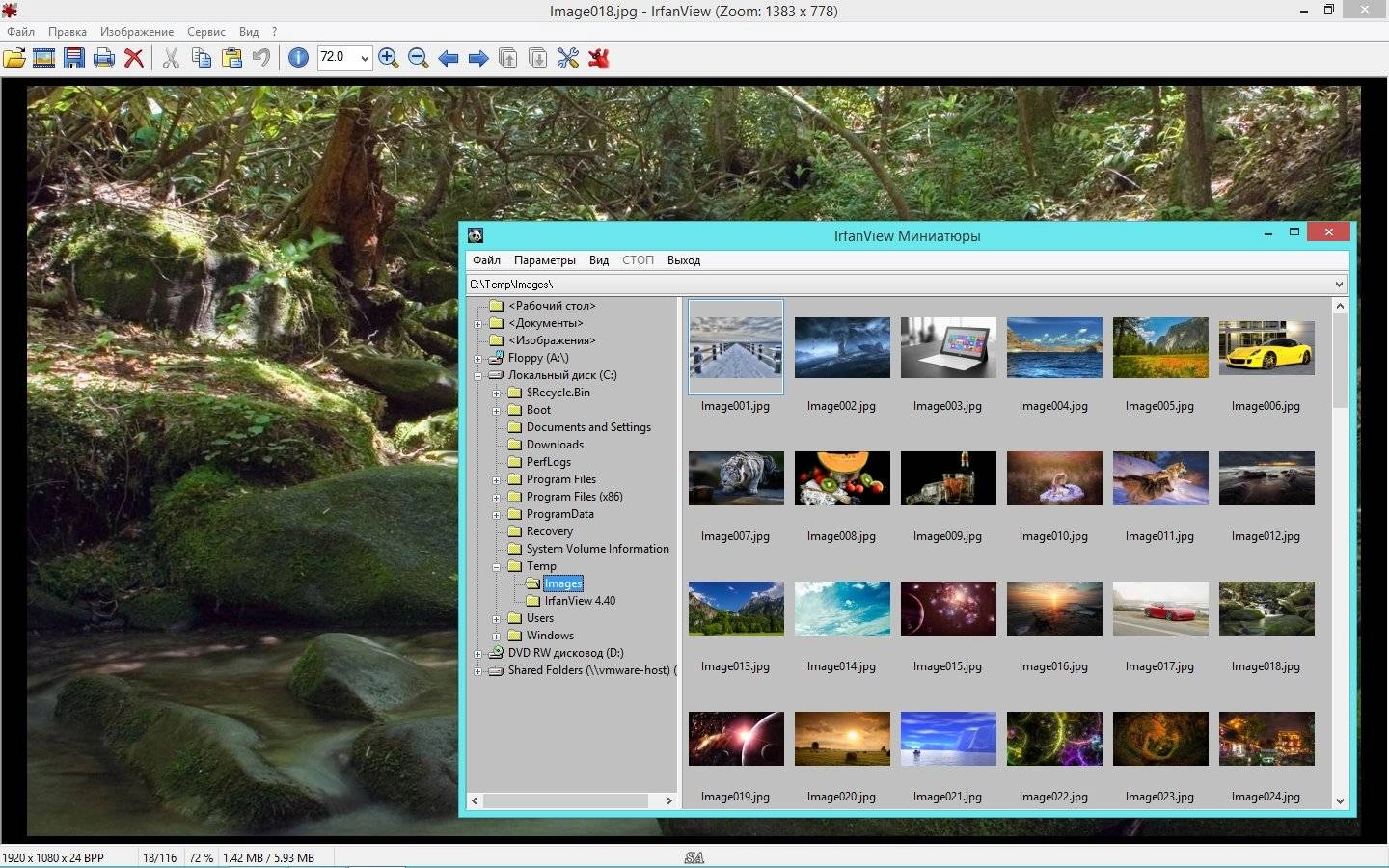 Активация IrfanView 4.40
