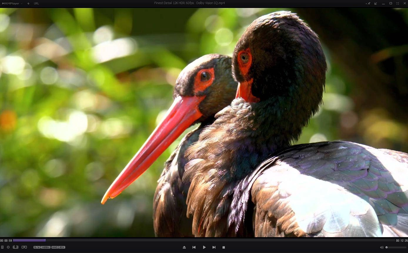 Активация KMPlayer 4.2.3.16 Portable by 7997