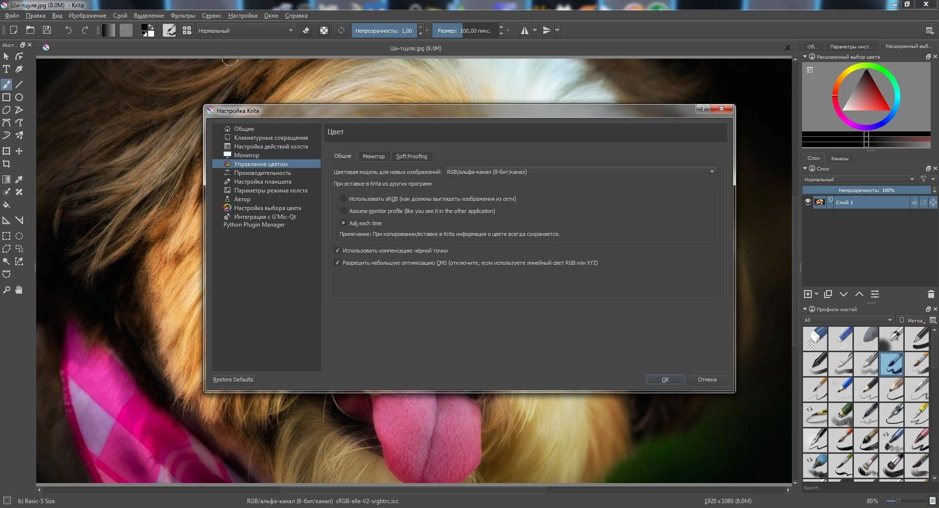 Активация Krita 5.2.9 + Portable