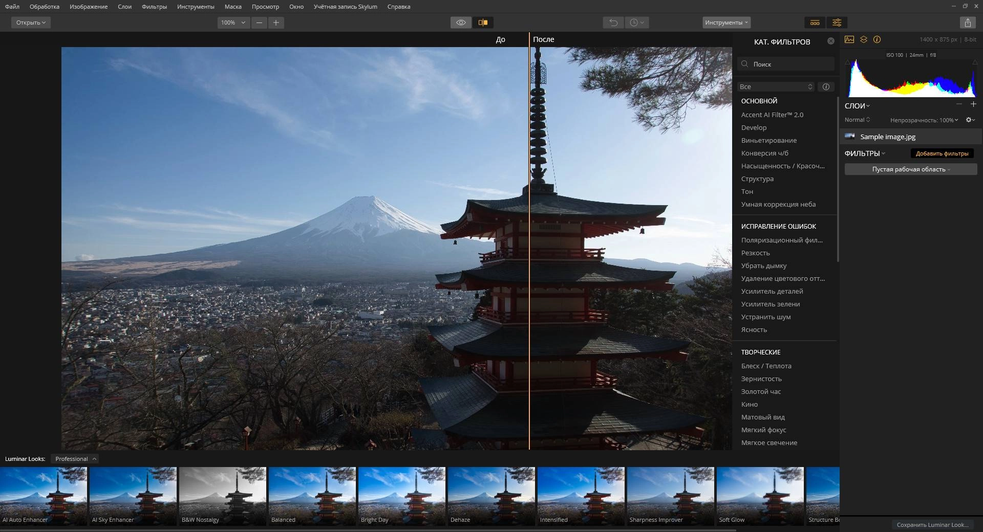 Активация Luminar Flex 1.1.0.3435 RePack by elchupacabra