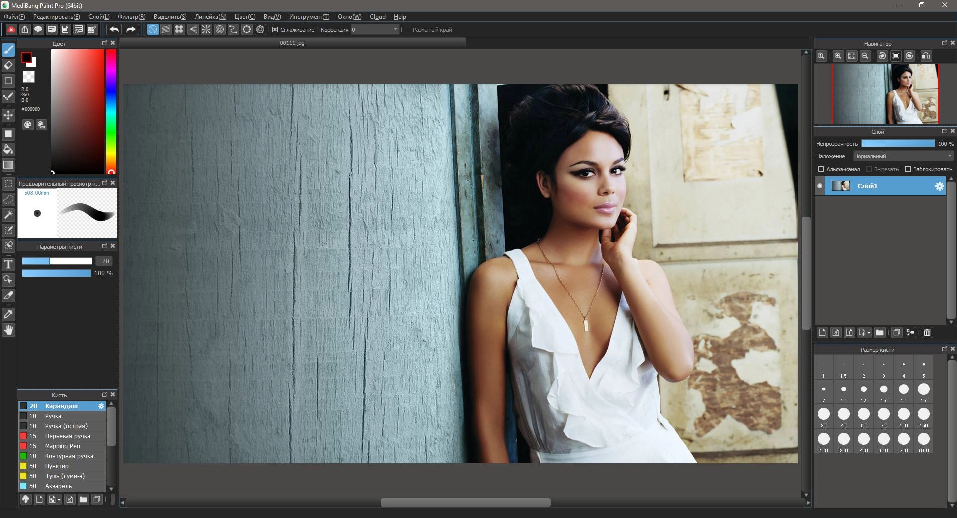 Активация MediBang Paint Pro 28.4 RePack by elchupacabra