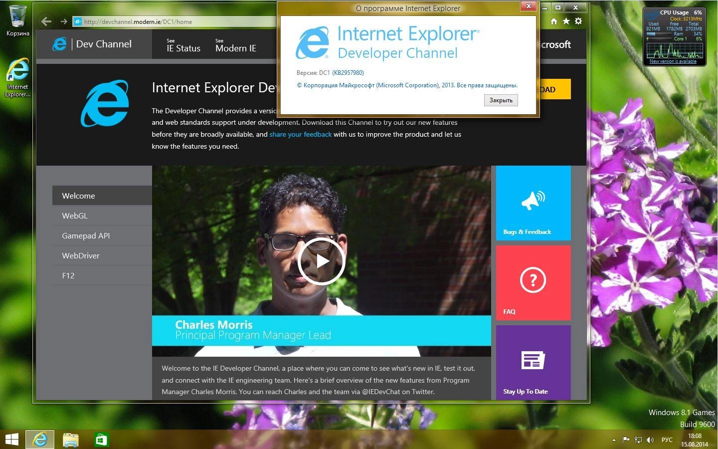 Активация Microsoft Windows 8.1 Pro VL 17238 x86-x64 RU IE12.Fast.Games by Lopatkin Русский