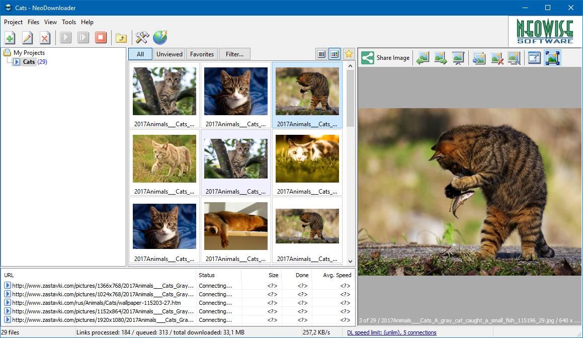 Активация NeoDownloader 3.0.3 Build 209 RePack by вовава