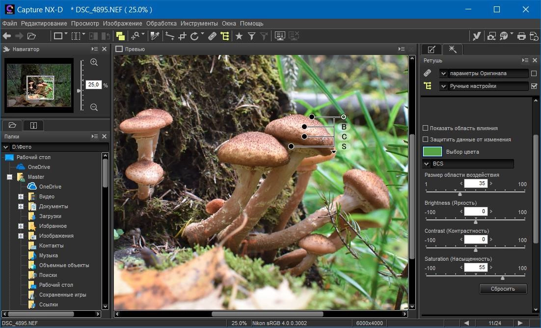 Активация Nikon Capture NX-D 1.6.5