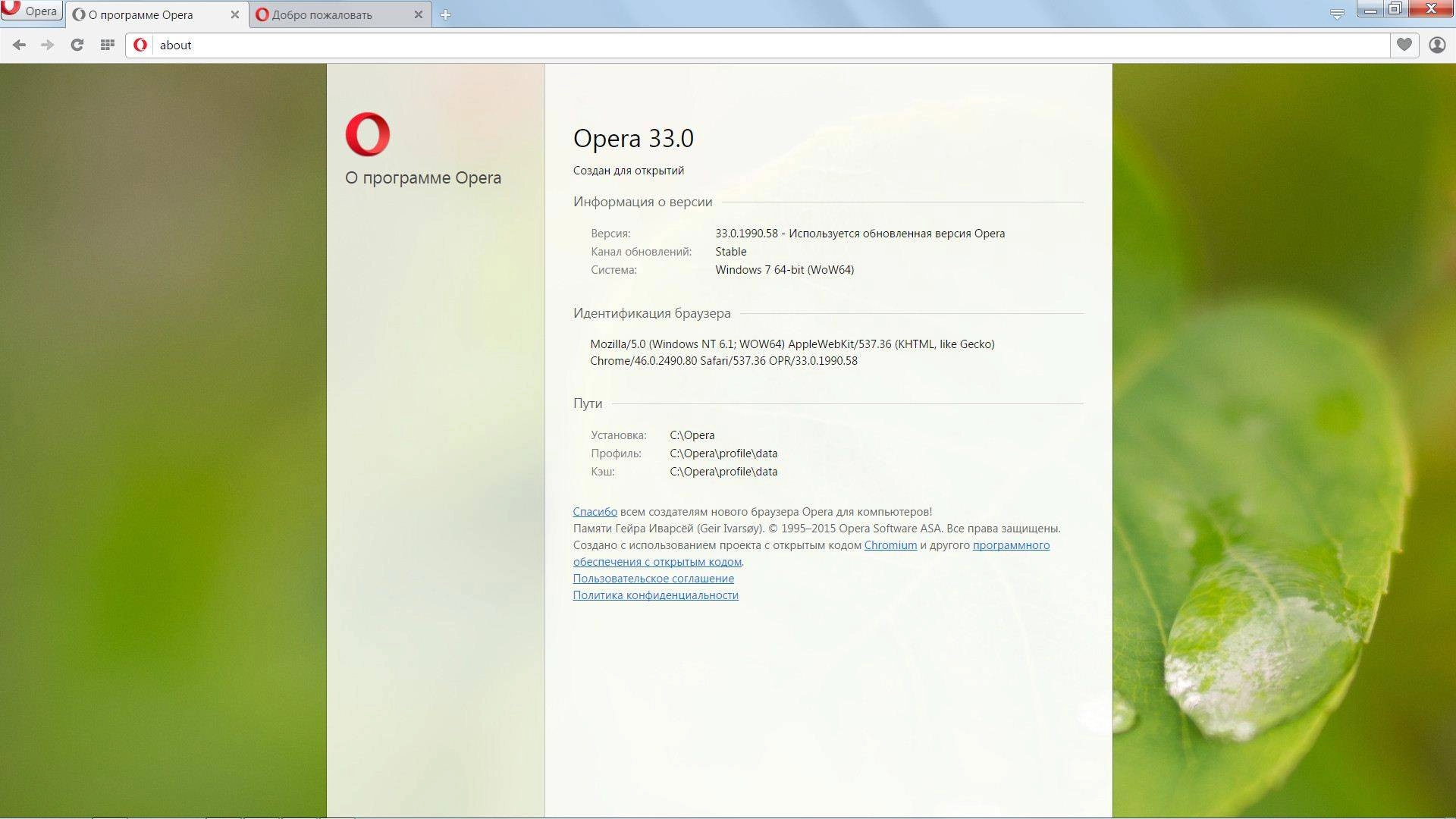 Активация Opera 33.0.1990.58 Stable