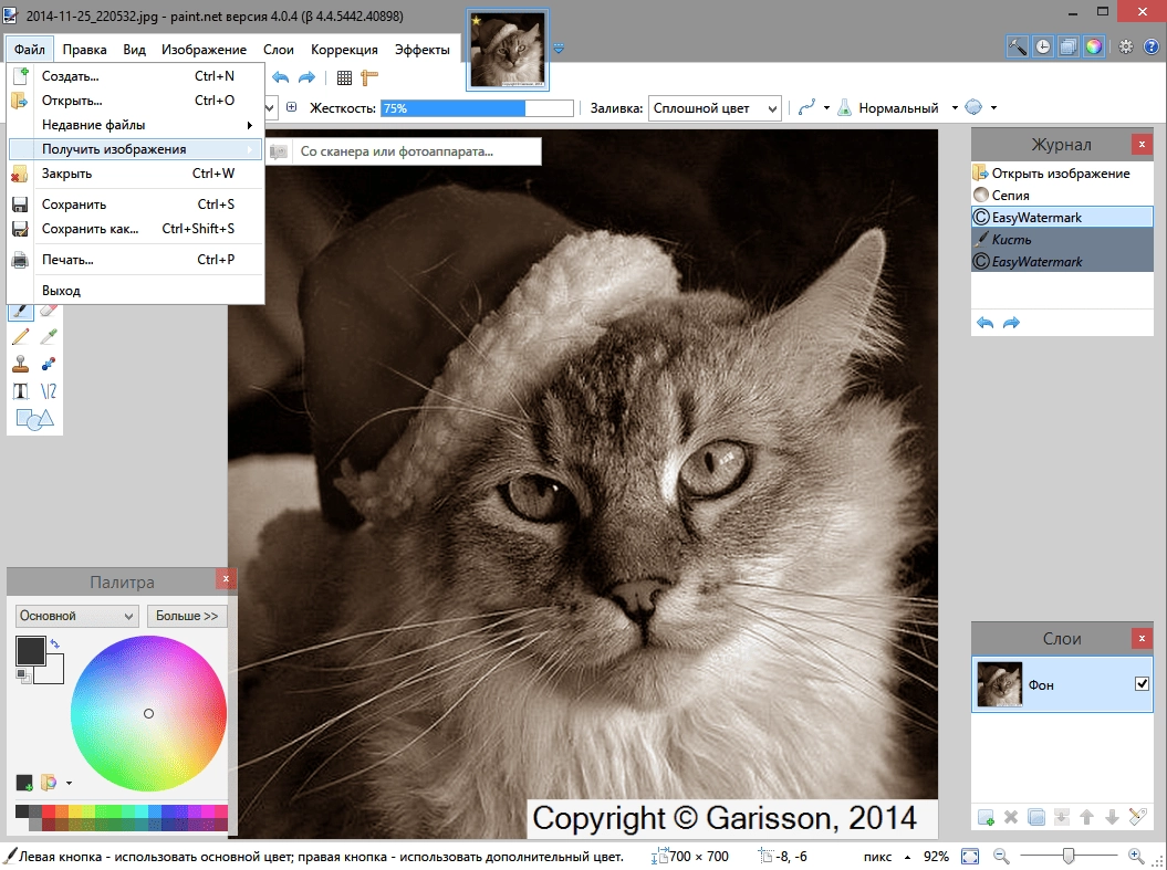 Активация Paint. NET 4.04.5442.40898 Beta