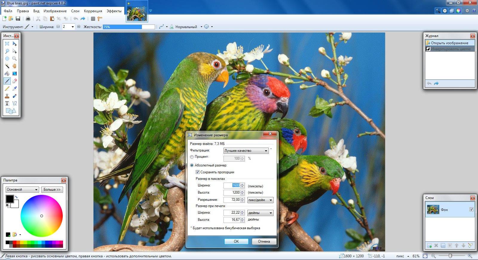 Активация Paint.NET 4.0.2 Final