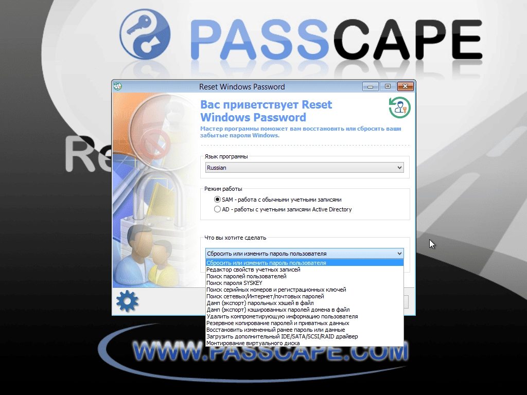 Активация Passcape Reset Windows Password 9.0.0.905 Advanced Edition
