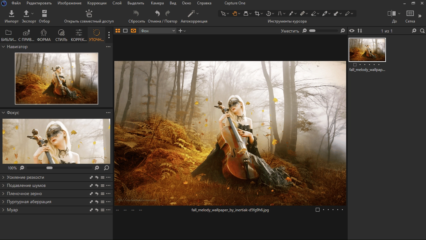Активация Phase One Capture One 23 Enterprise 16.0.1.20