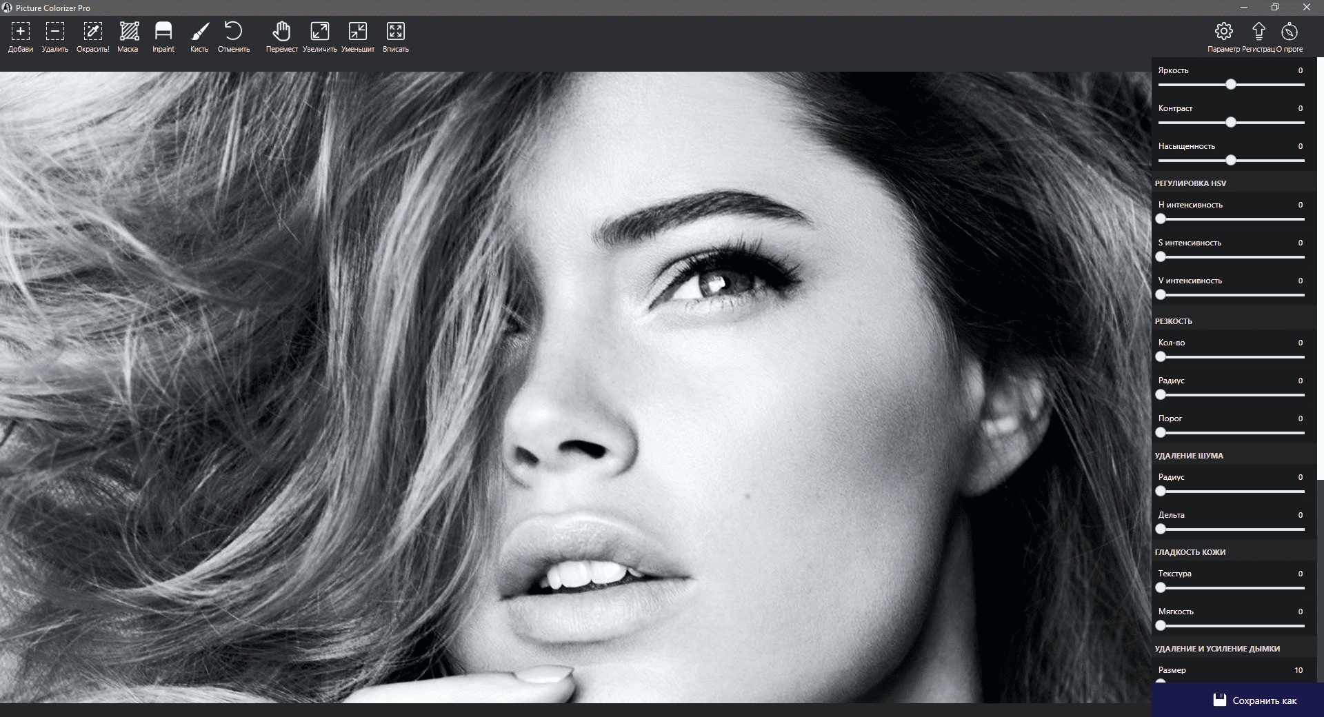 Активация Picture Colorizer Pro 2.4.0 RePack by elchupacabra