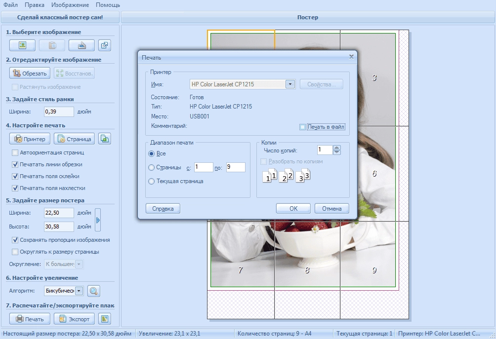 Активация RonyaSoft Poster Printer 3.2.17 RePack by ZVSRus