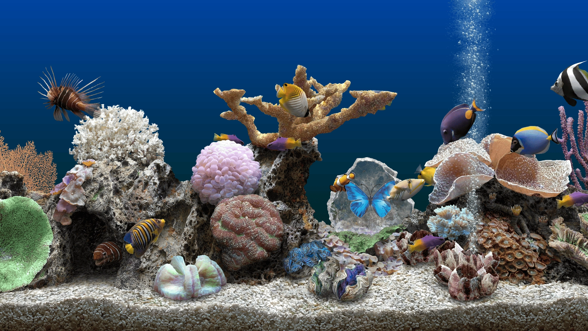Активация SereneScreen Marine Aquarium 3.3.6341 RePack by elchupacabra