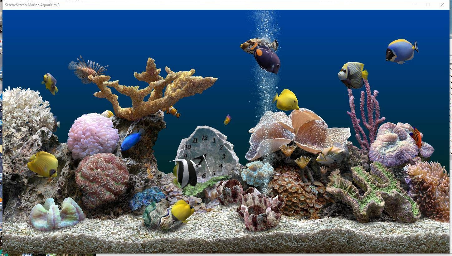 Активация SereneScreen Marine Aquarium 3.3.6381 RePack by elchupacabra