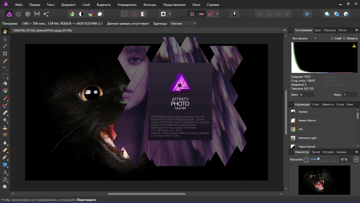 Активация Serif Affinity Photo 1.10.5.1342 RePack by elchupacabra
