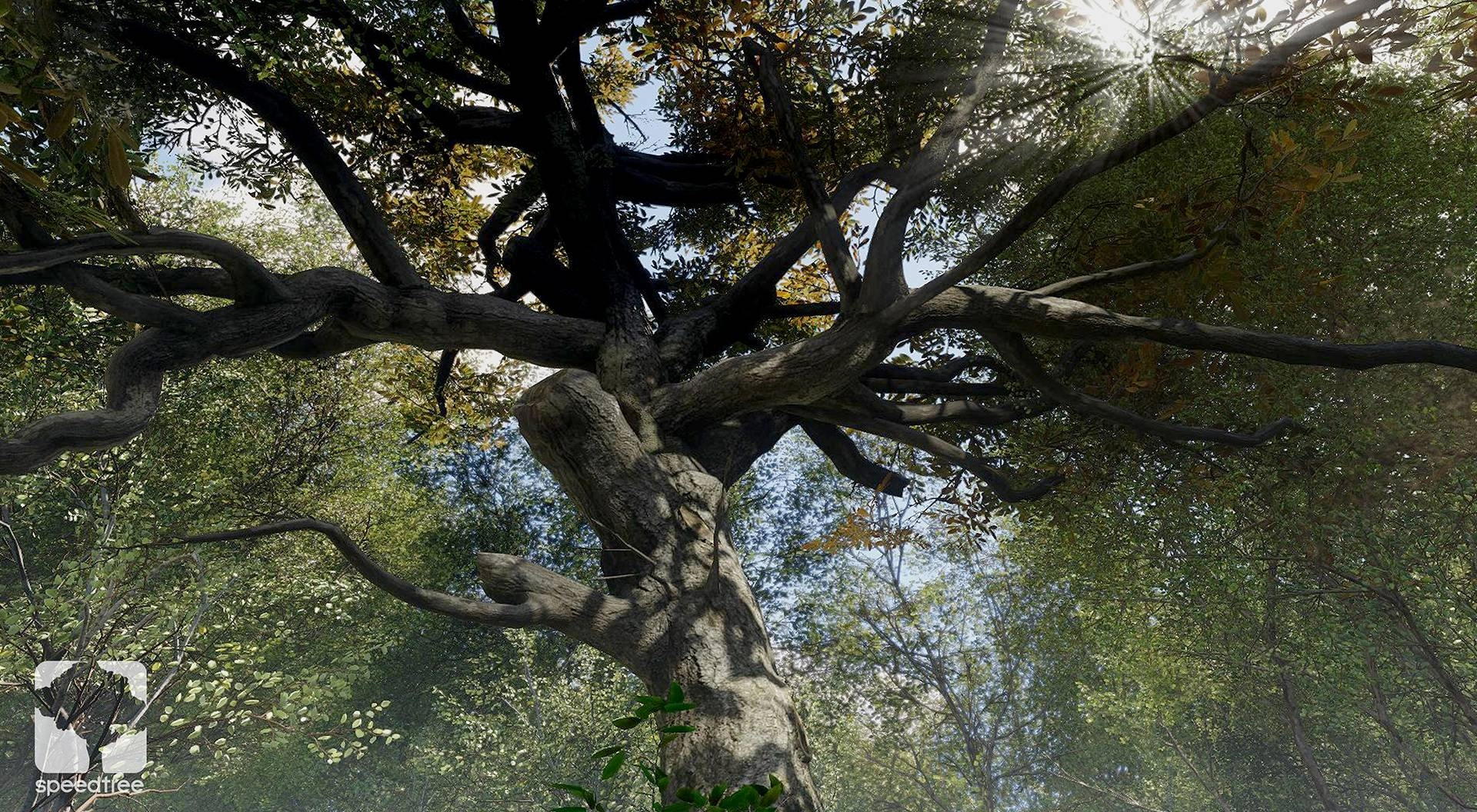 Активация SpeedTree Cinema v8.4.2 + Game Engines UE4/Unity/Indie v8.4.2/Clarisse v8.4.1