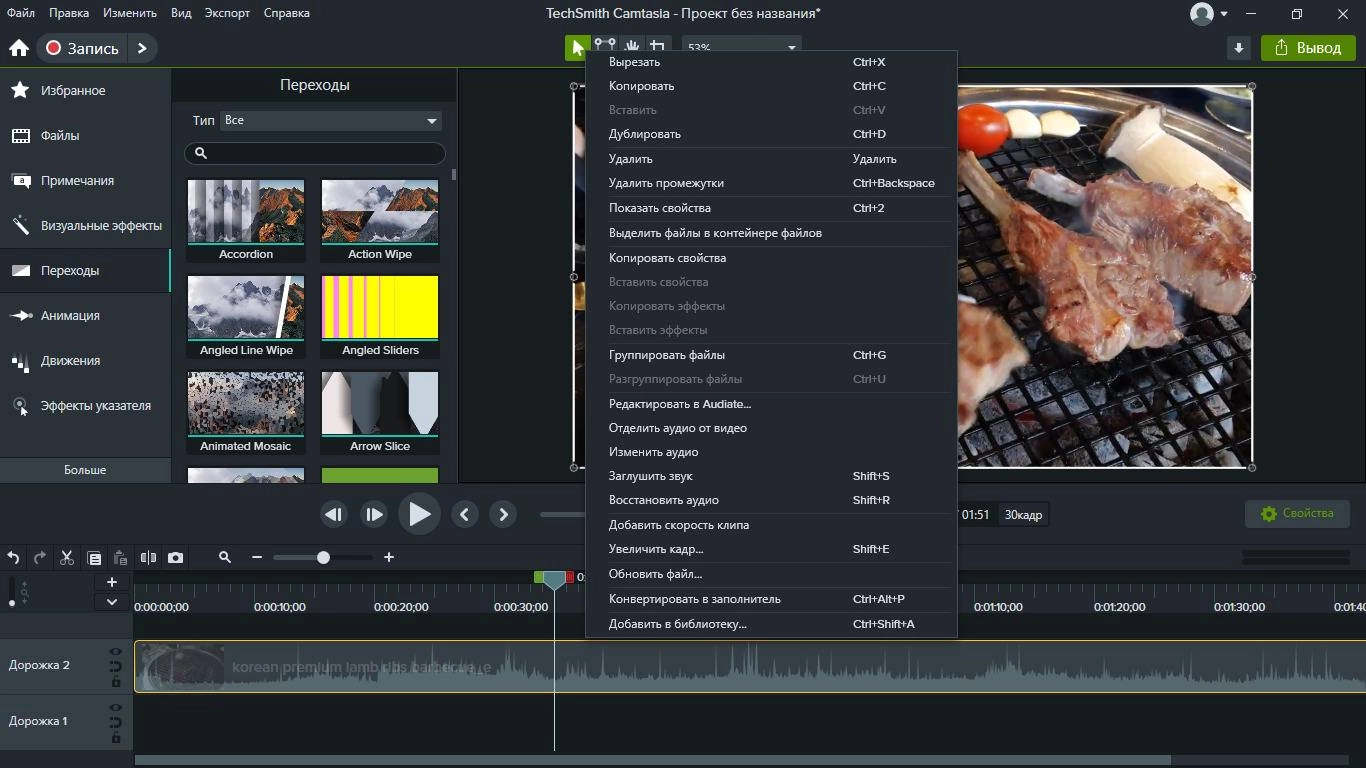 Активация TechSmith Camtasia 25.0.1 Build 8344 RePack by elchupacabra