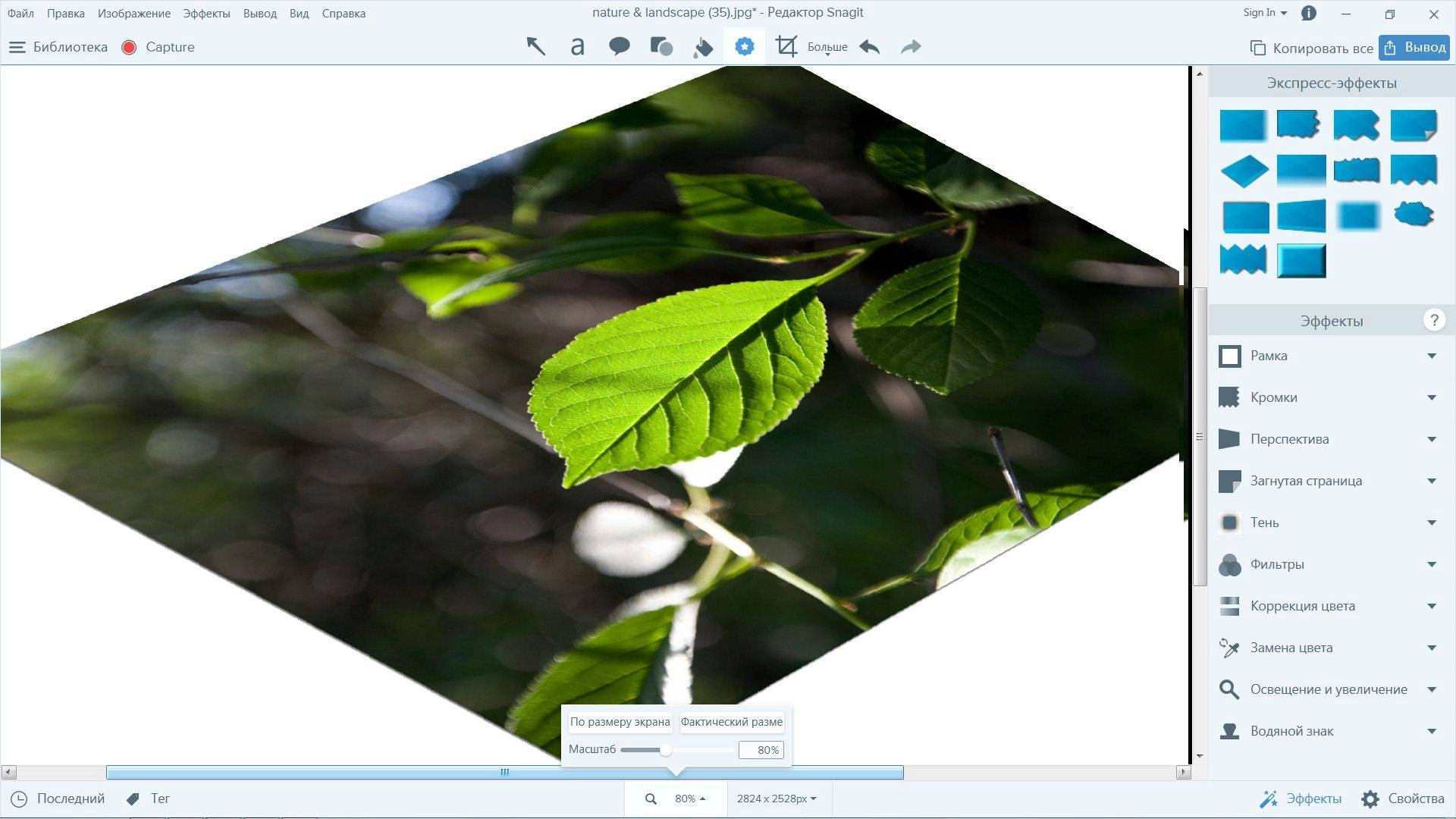 Активация TechSmith Snagit 13.0.1 Build 6326 RePack by D!akov