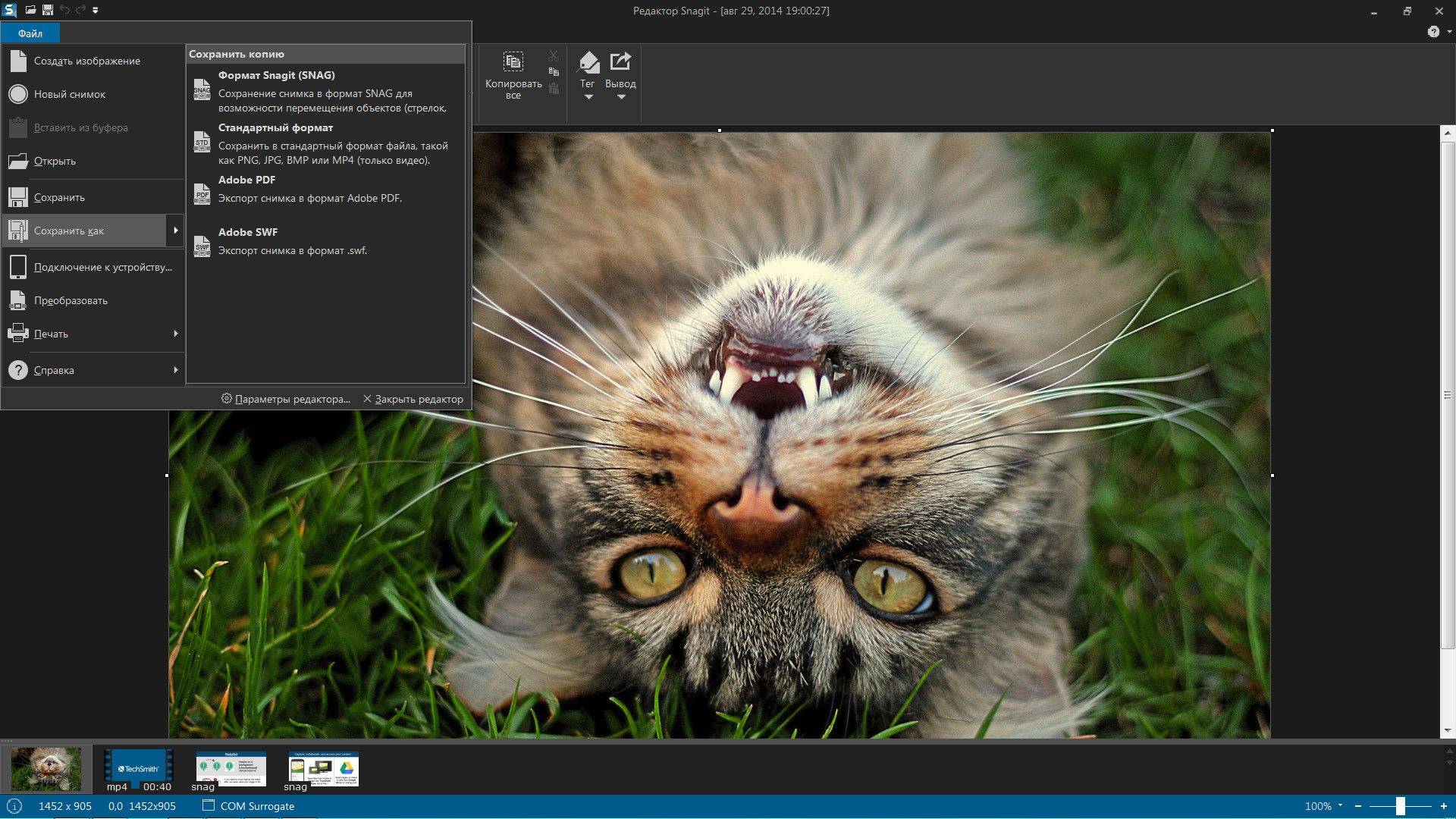 Активация Techsmith Snagit 12.2.0 Build 1656 RePack by KpoJIuK