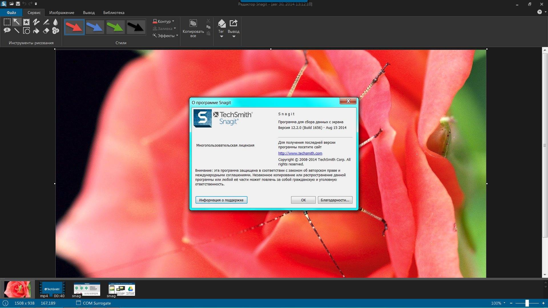 Активация Techsmith Snagit 12.2.0 Build 1656 RePack by elchupakabra