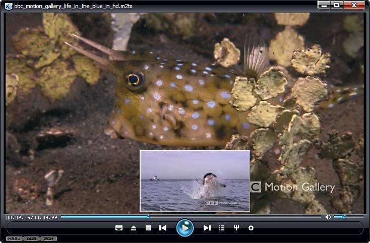 Активация The KMPlayer 3.9.0.125 repack by cuta