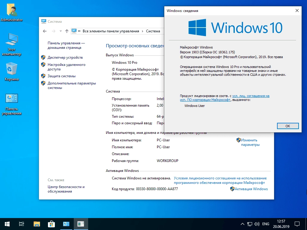 Активация Windows 10 Pro b18362.207 x64 by SanLex