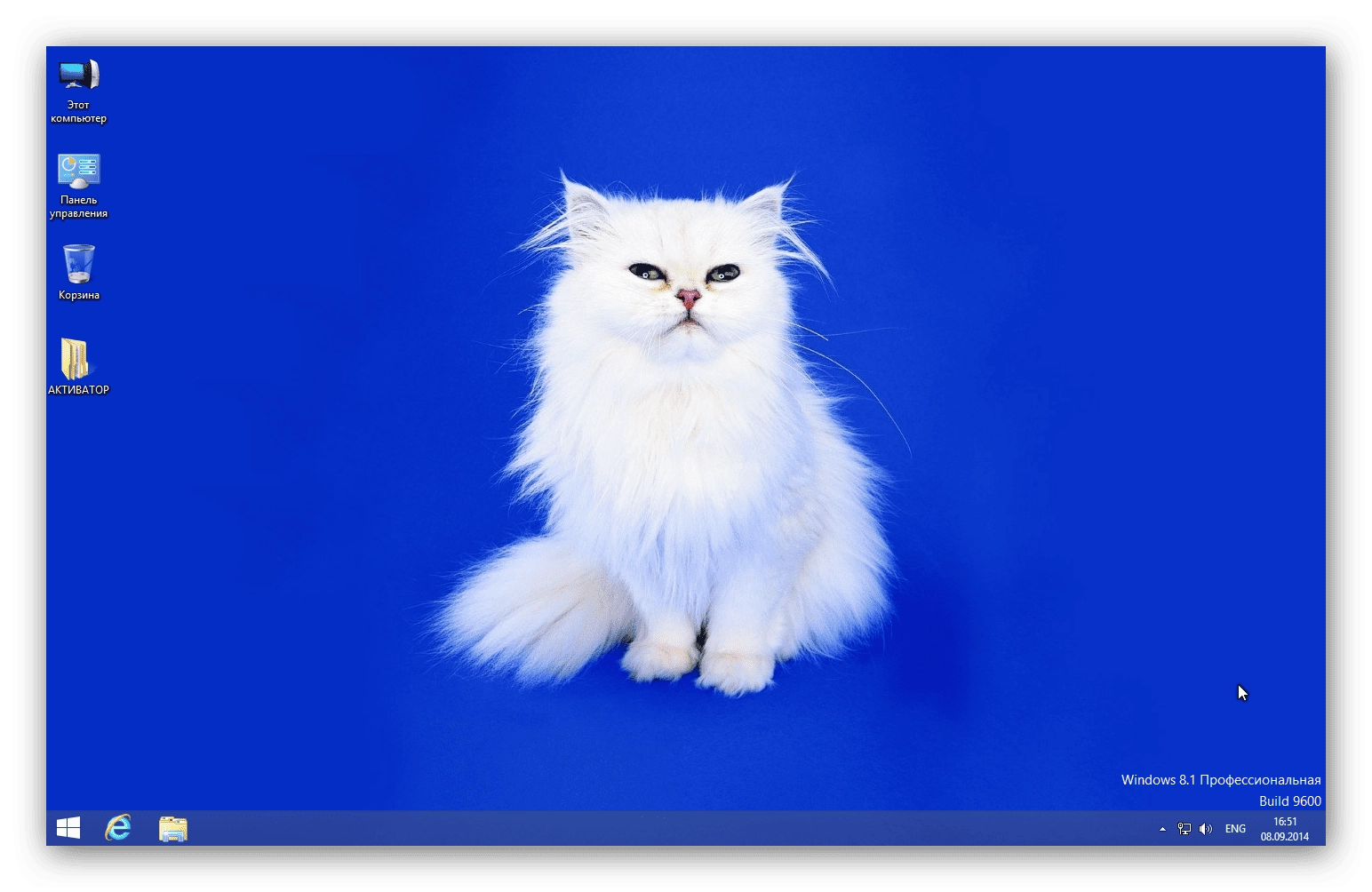 Активация Windows 8.1 Pro Lite v1.1 by EmiN