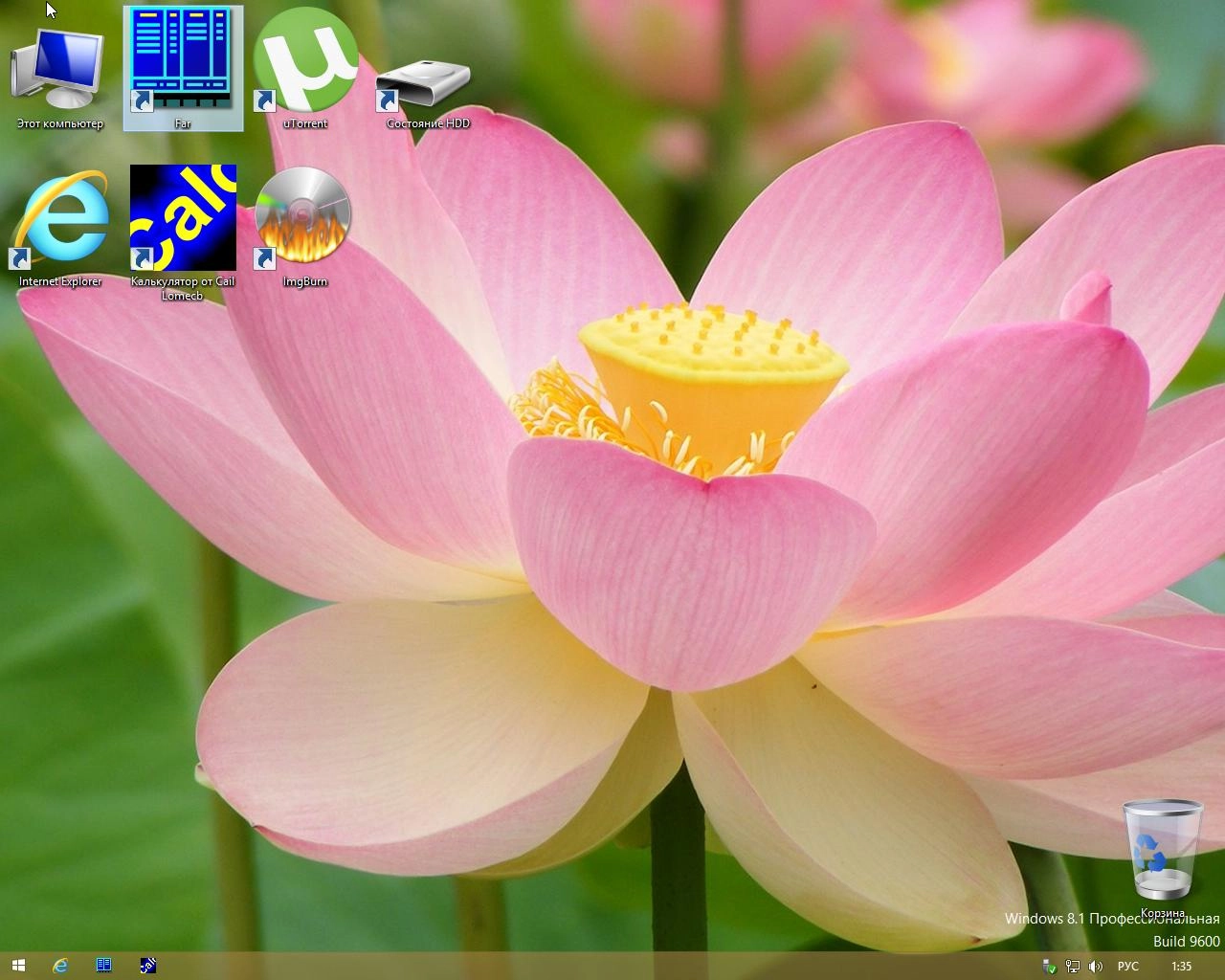 Активация Windows 8.1 Pro by Divet