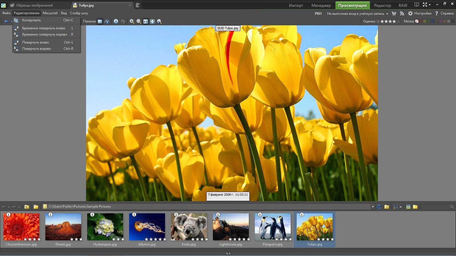 Активация Zoner Photo Studio Professional 17 Build 4 RePack by KpoJIuK
