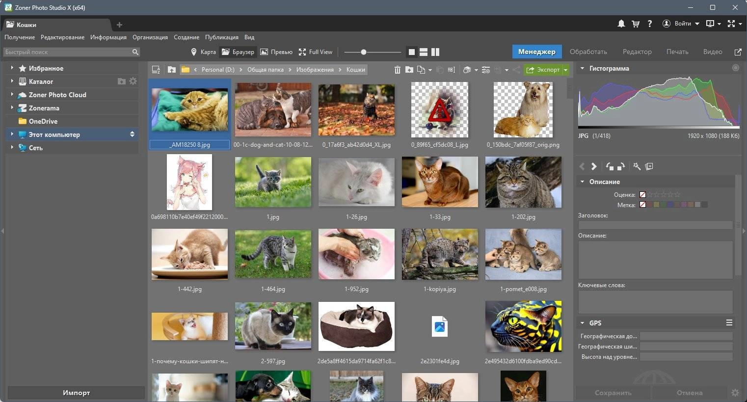 Активация Zoner Photo Studio X 19.2309.2.507 Portable by 7997