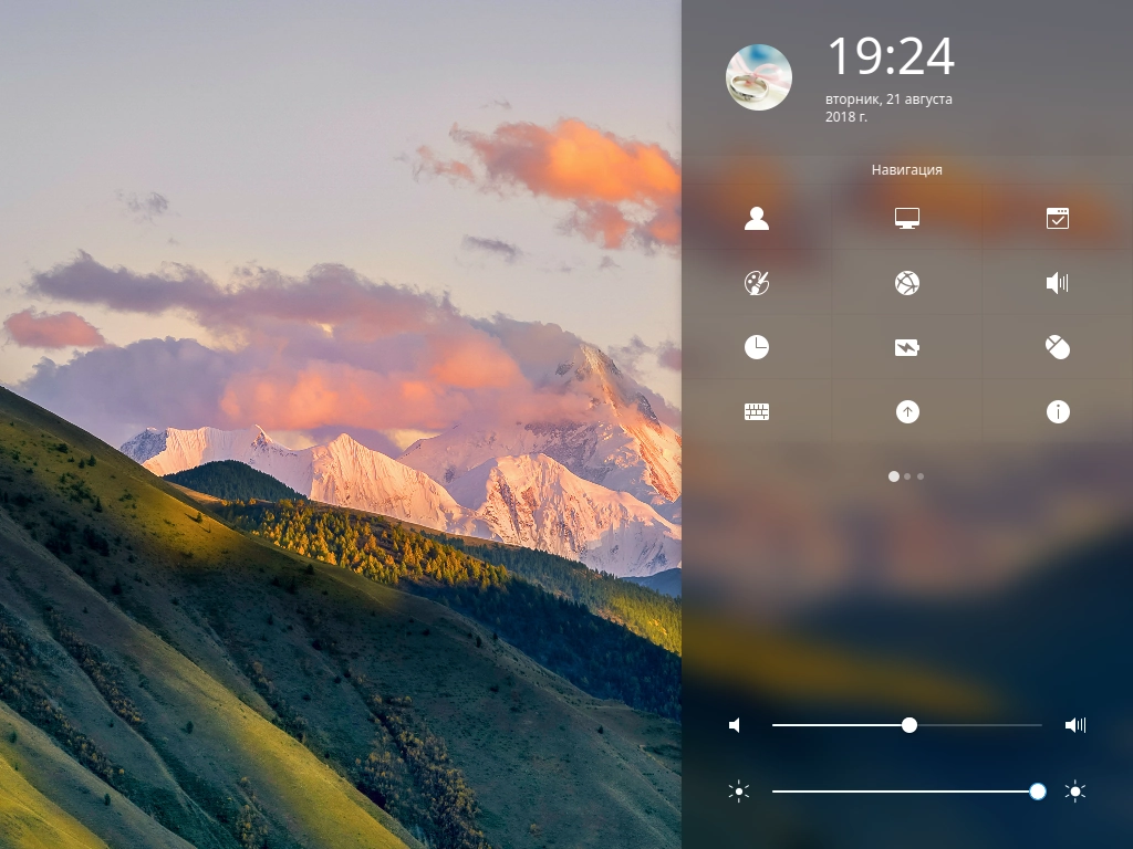 Активация deepin 15.8 1xDVD