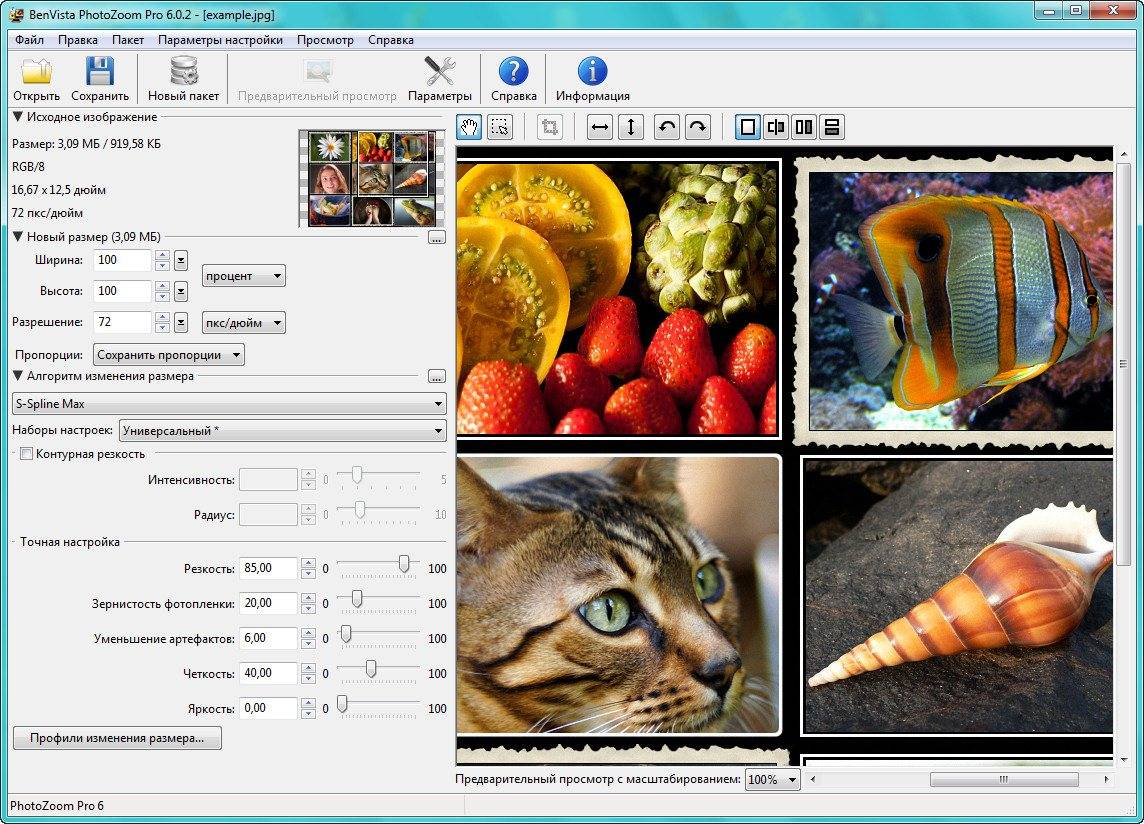Как пользоваться Benvista PhotoZoom Pro 6.0.2