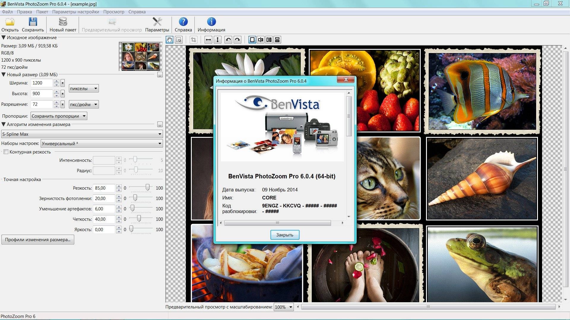 Как пользоваться Benvista PhotoZoom Pro 6.0.4 RePack by KpoJIuK