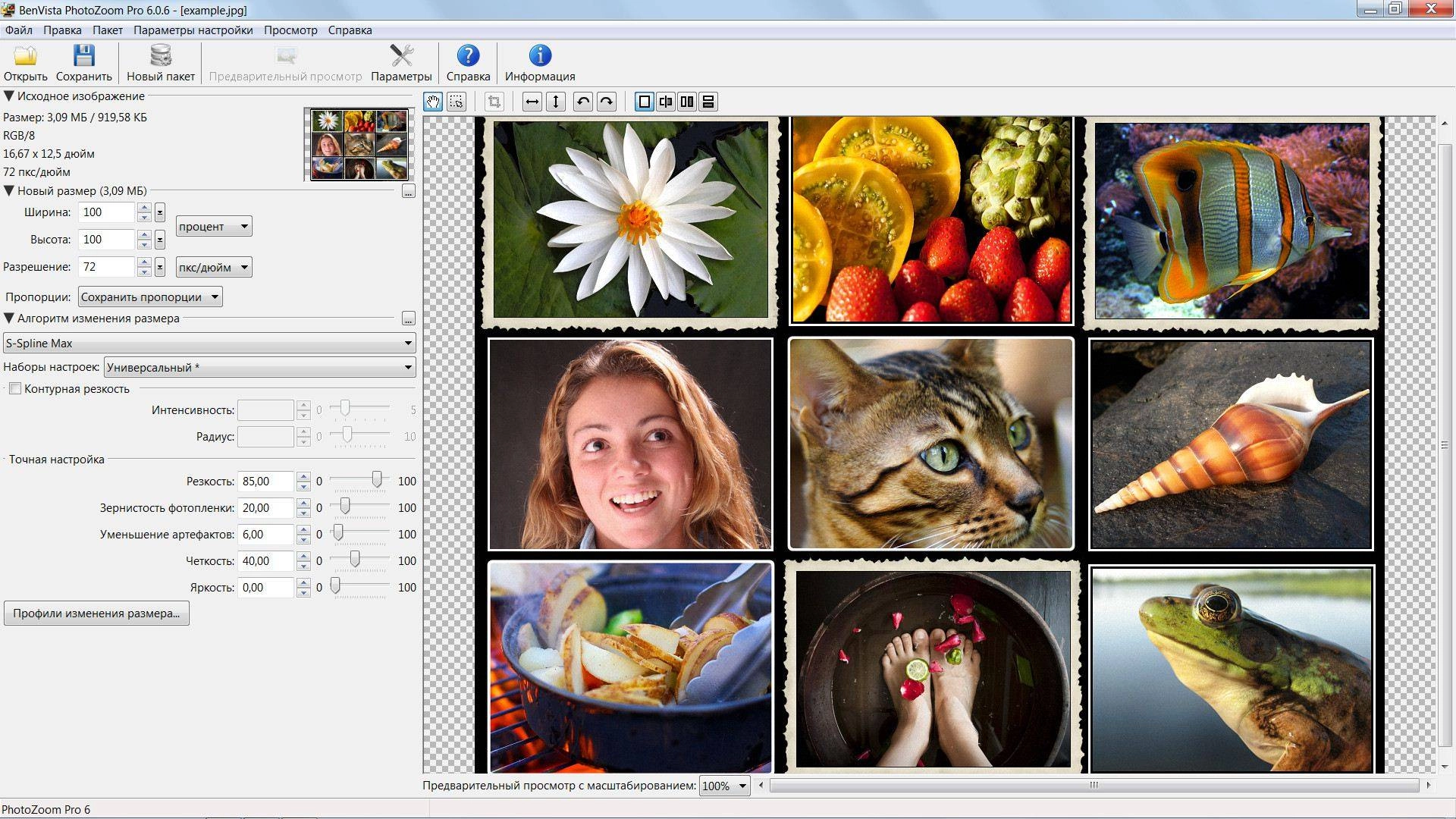 Как пользоваться Benvista PhotoZoom Pro 6.0.6